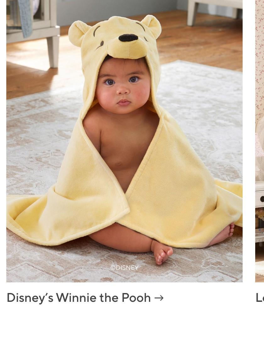 Disney's Winnie the Pooh